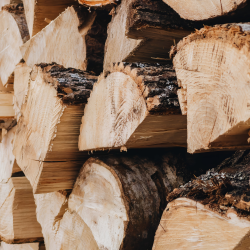 ee97f160-0db6-42ee-b872-865594e74ba0